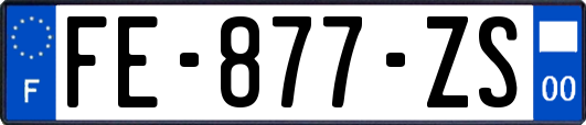 FE-877-ZS