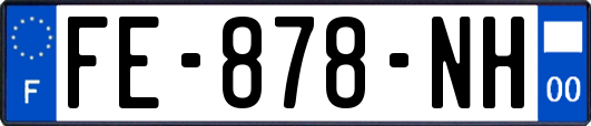 FE-878-NH