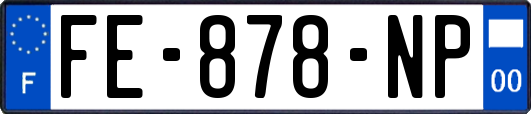 FE-878-NP