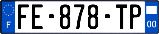 FE-878-TP