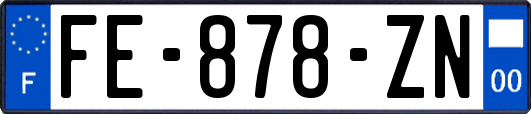 FE-878-ZN