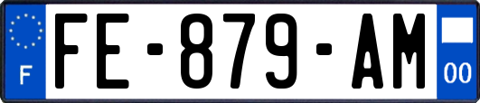 FE-879-AM