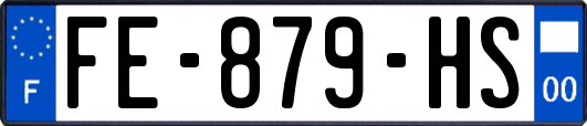 FE-879-HS