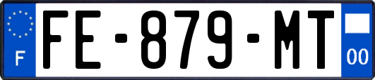 FE-879-MT