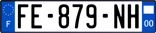 FE-879-NH
