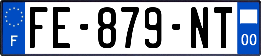 FE-879-NT