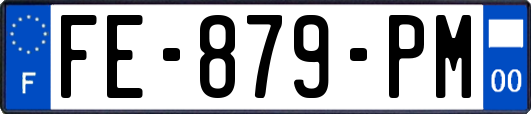 FE-879-PM