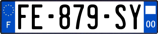 FE-879-SY