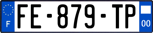 FE-879-TP