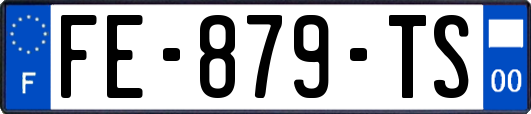 FE-879-TS