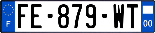 FE-879-WT