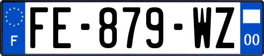 FE-879-WZ