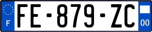 FE-879-ZC