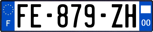 FE-879-ZH