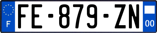 FE-879-ZN