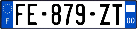 FE-879-ZT