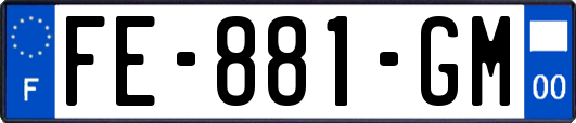 FE-881-GM