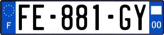FE-881-GY