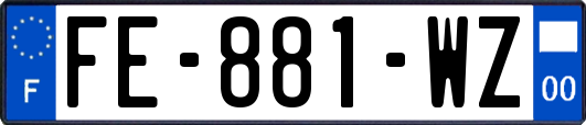 FE-881-WZ