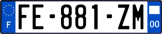 FE-881-ZM