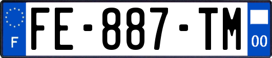 FE-887-TM