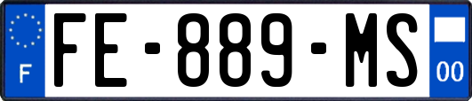 FE-889-MS