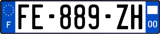 FE-889-ZH