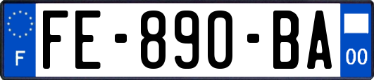 FE-890-BA