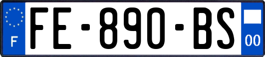 FE-890-BS