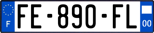 FE-890-FL