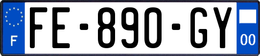FE-890-GY