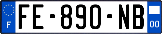 FE-890-NB