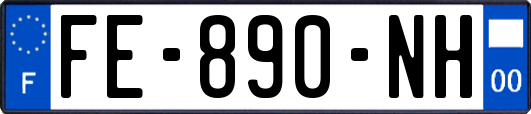 FE-890-NH