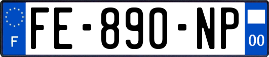 FE-890-NP