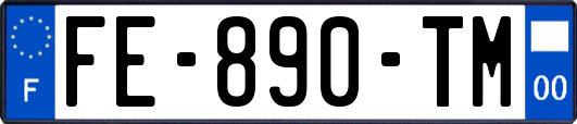 FE-890-TM