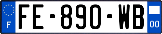 FE-890-WB