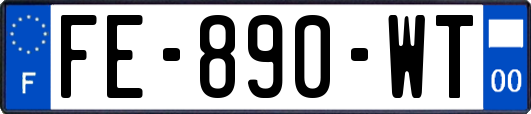 FE-890-WT