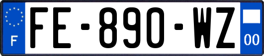 FE-890-WZ