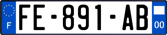 FE-891-AB