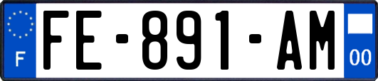 FE-891-AM