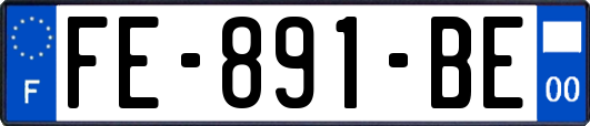 FE-891-BE
