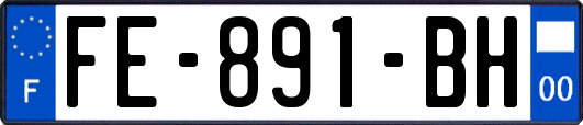 FE-891-BH