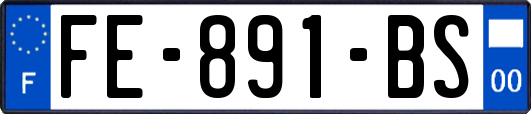 FE-891-BS