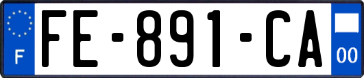 FE-891-CA