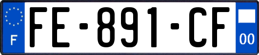 FE-891-CF