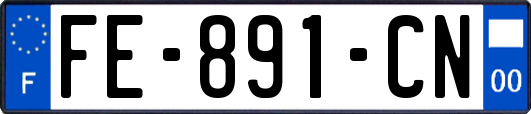 FE-891-CN