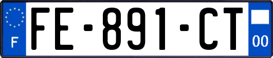 FE-891-CT