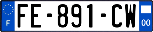 FE-891-CW