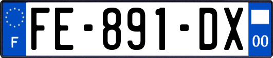 FE-891-DX