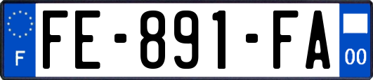 FE-891-FA